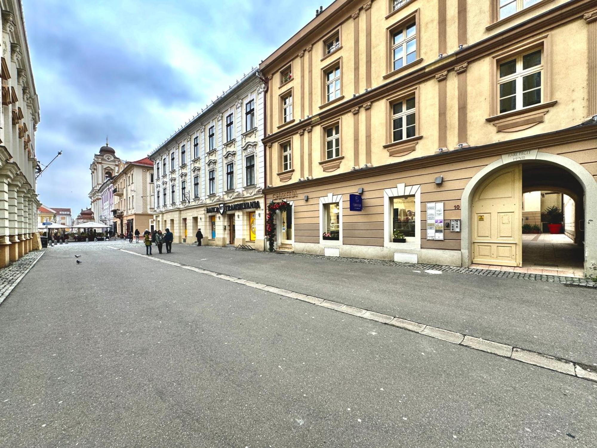 Blue Nest Apartment Timisoara Ngoại thất bức ảnh