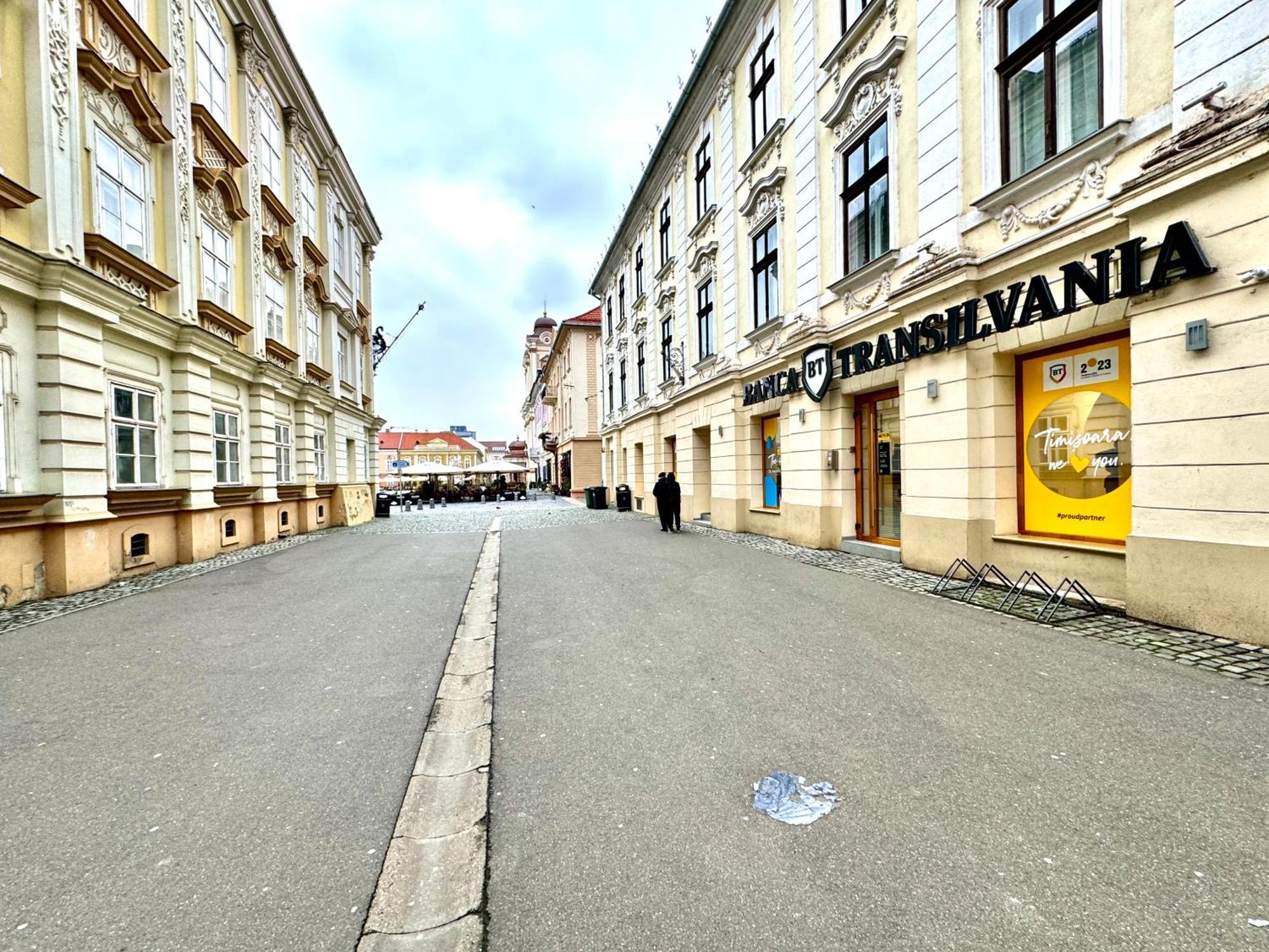 Blue Nest Apartment Timisoara Ngoại thất bức ảnh